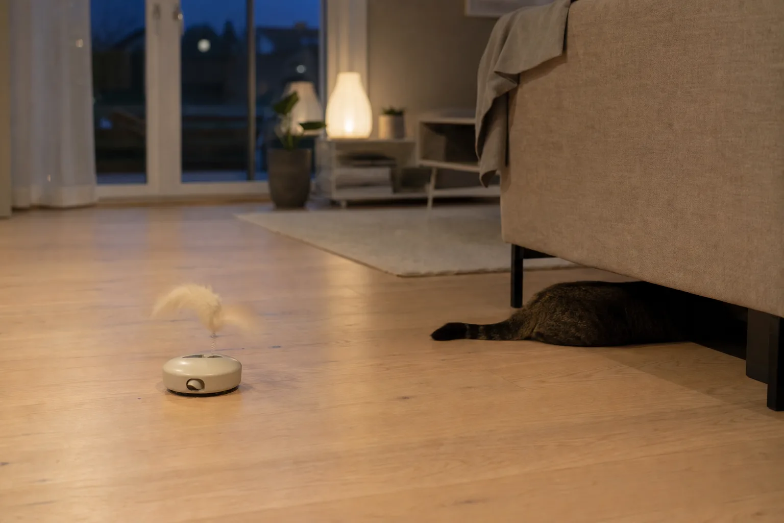 Katt som leker med en självrörlig leksak på golvet