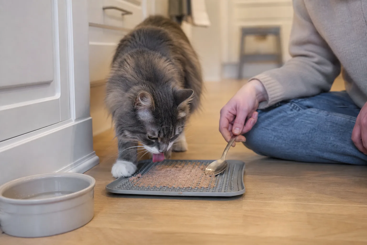 Katt som slickar blötmat från en grå slickmatta på köksgolvet medan fodret bres ut med en sked