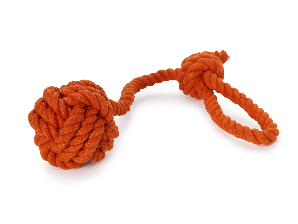 Orange repboll med handtag från Dogman