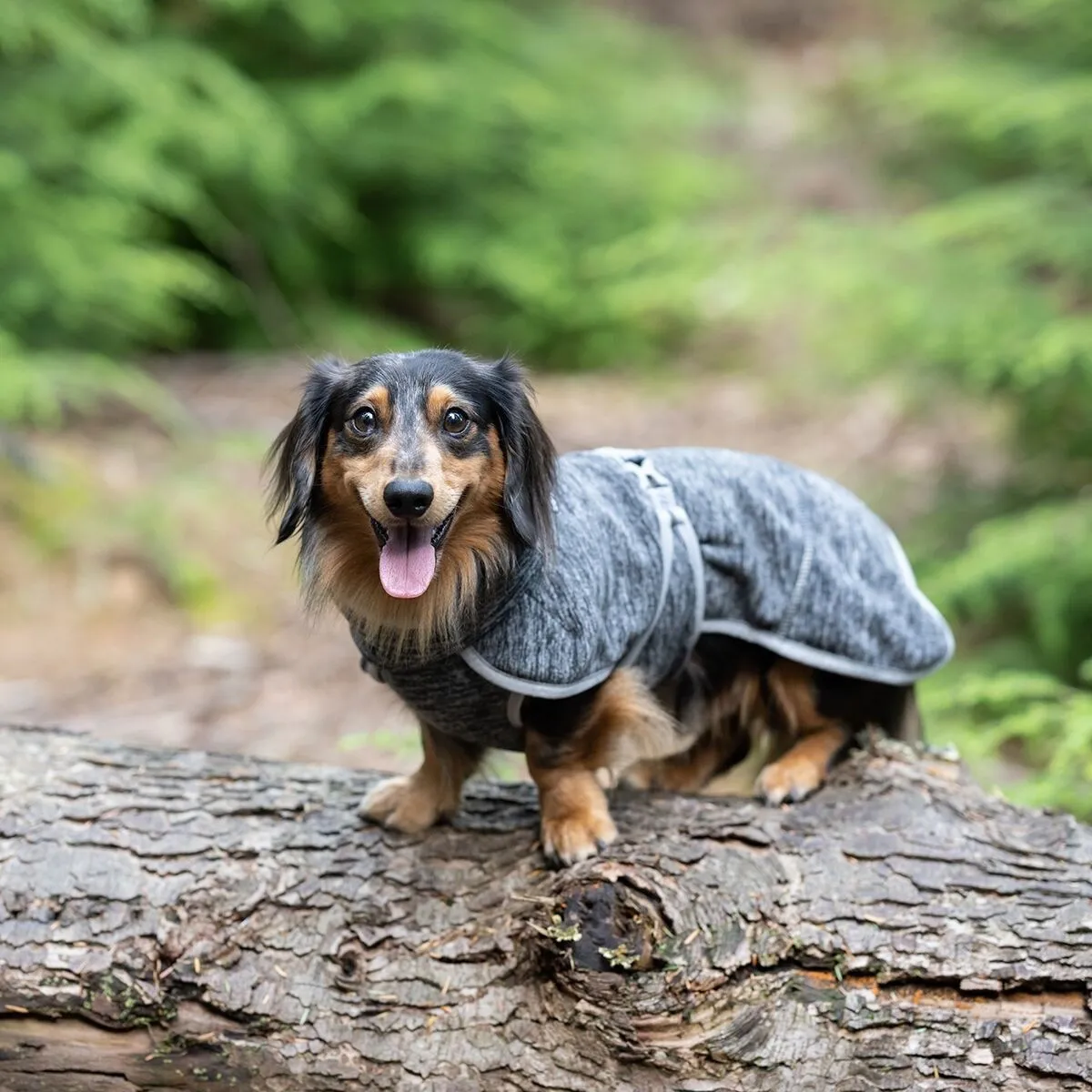 Icepeak Flen Midlayer Hundjacka Svart