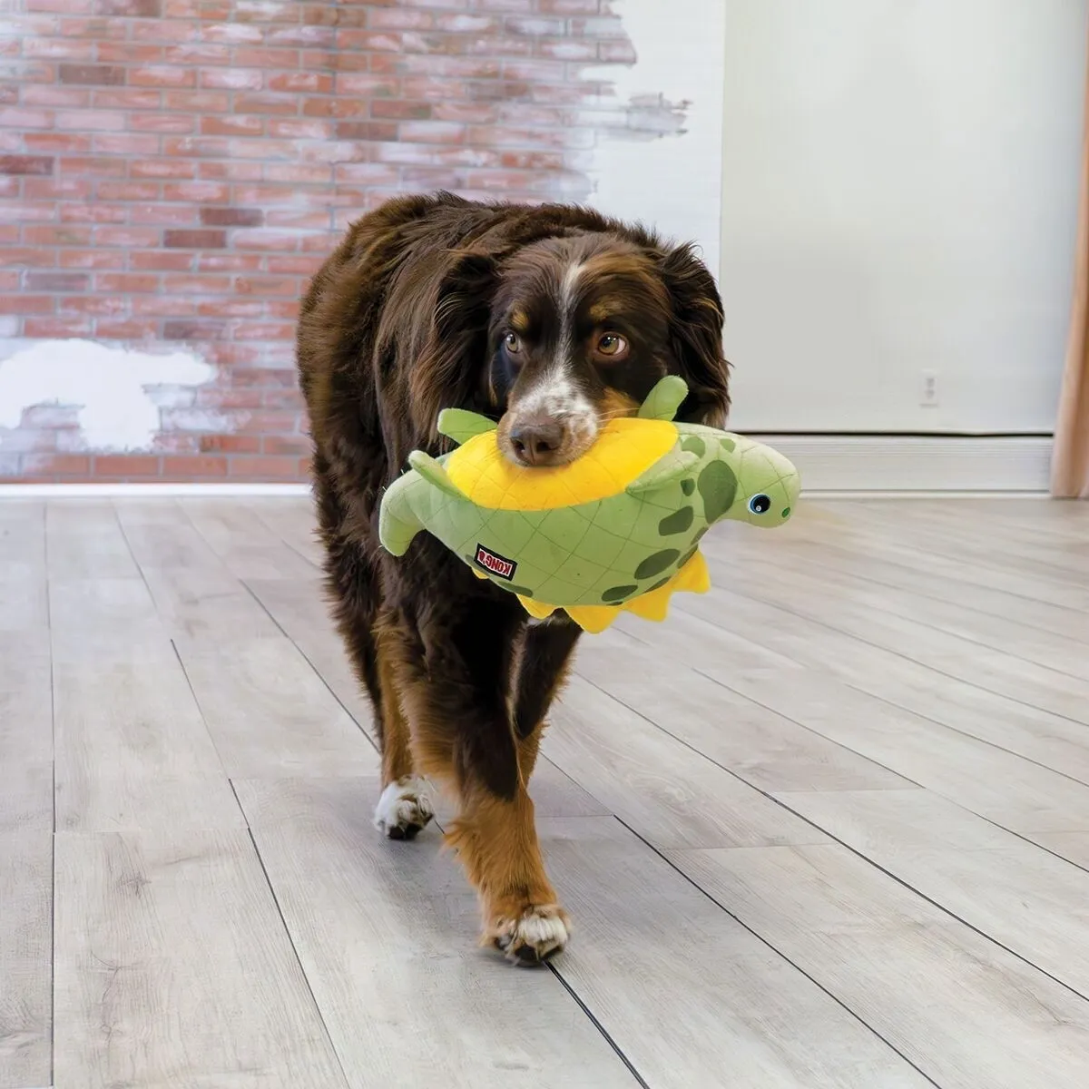 KONG Dynos Roars Mjukisdjur till Hund Dinosaurie Grön