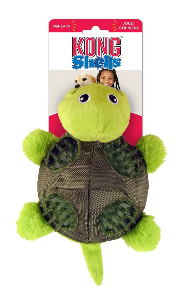 Leksak Shells Turtle Grön