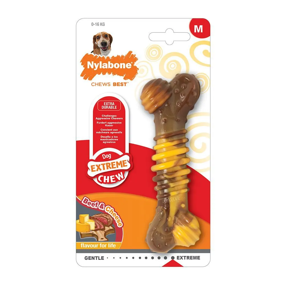 Nylabone Extreme Texture Beef & Cheese