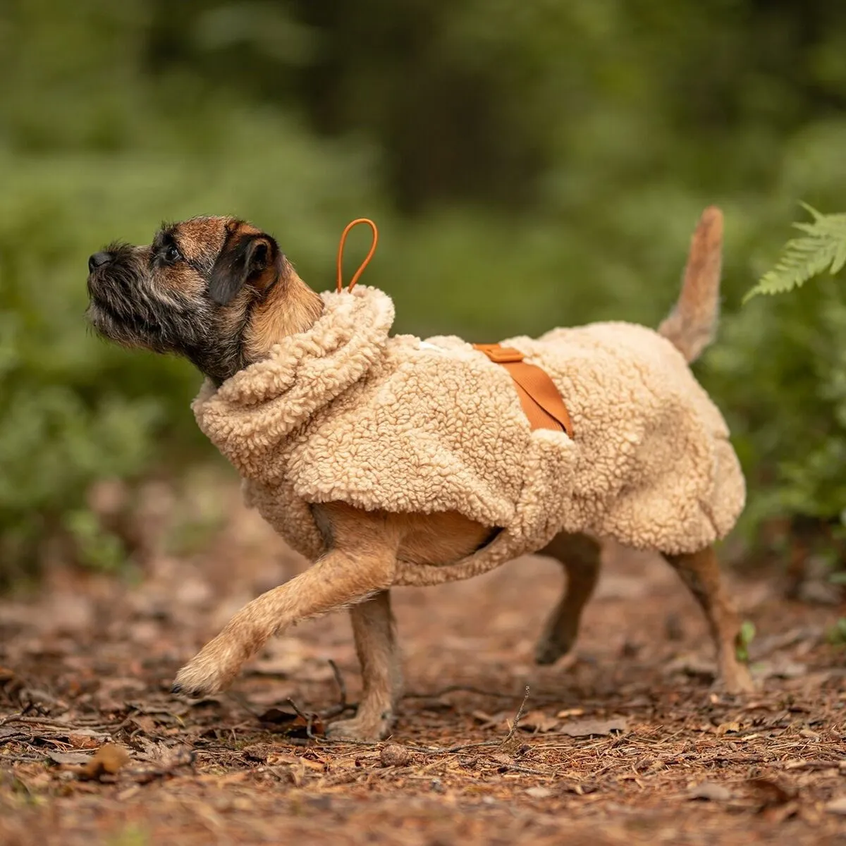 PAIKKA Sherpa Hundtröja Beige