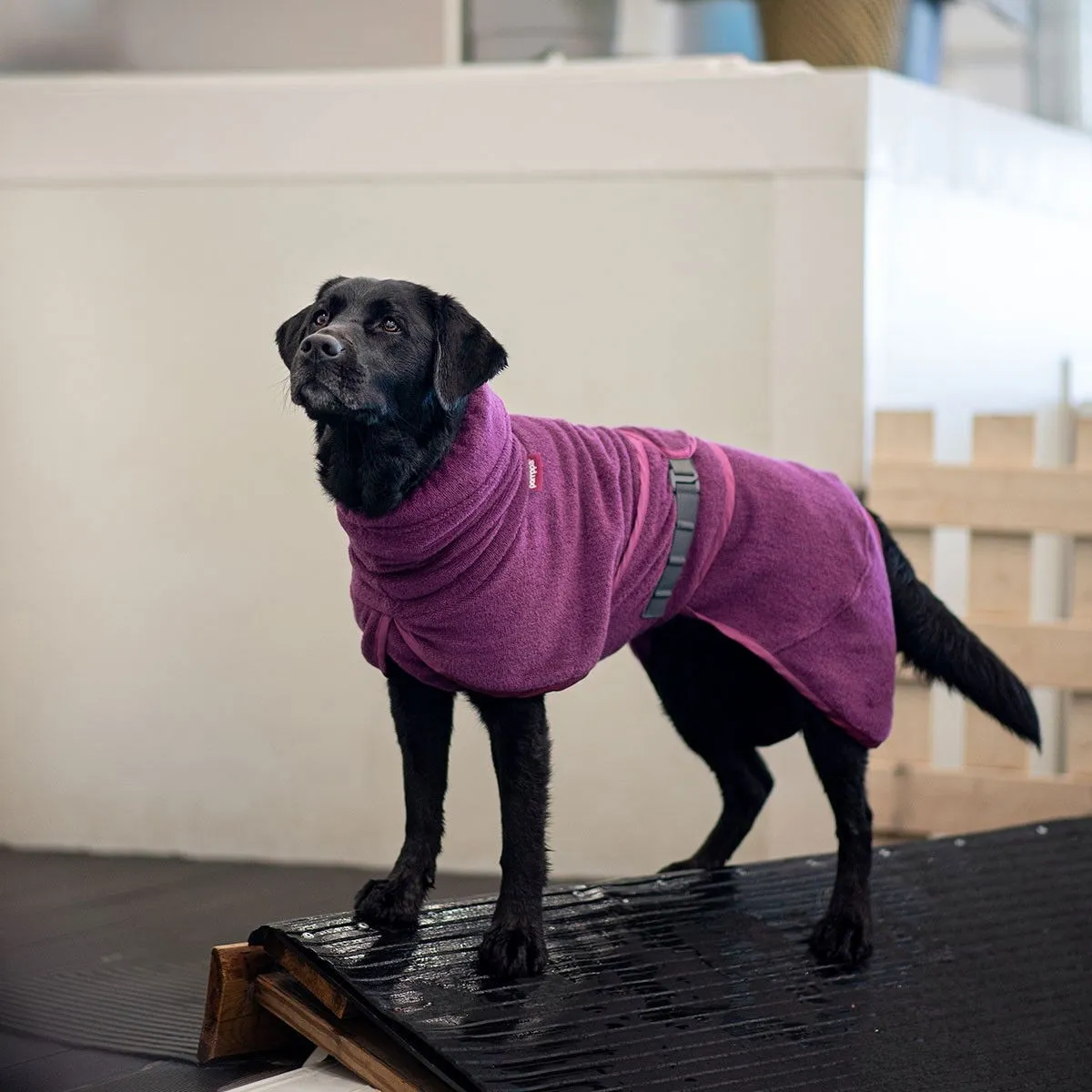 Pomppa Bath Badrock till Hund Plum