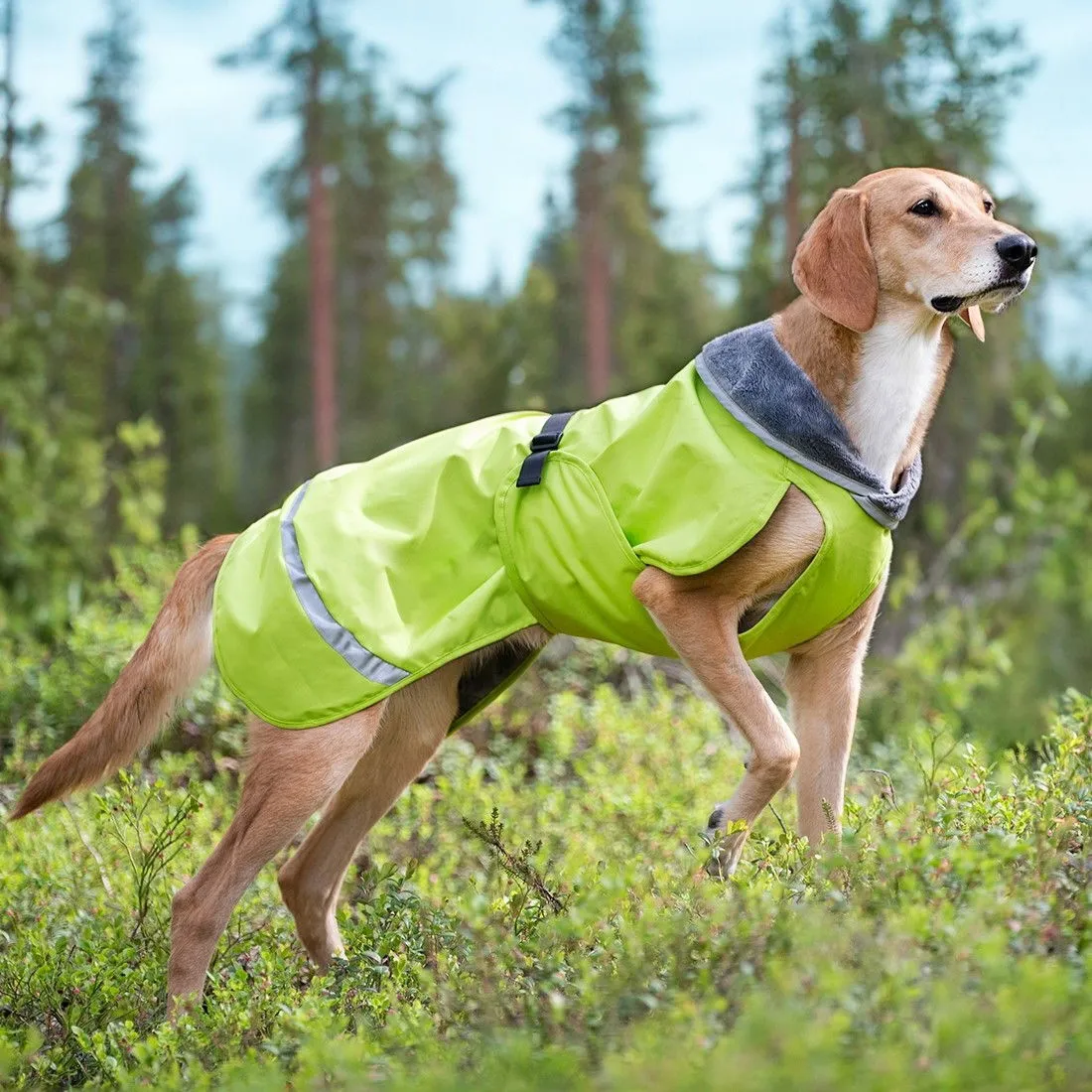 Pomppa Kevyt Regnjacka Hund Lime