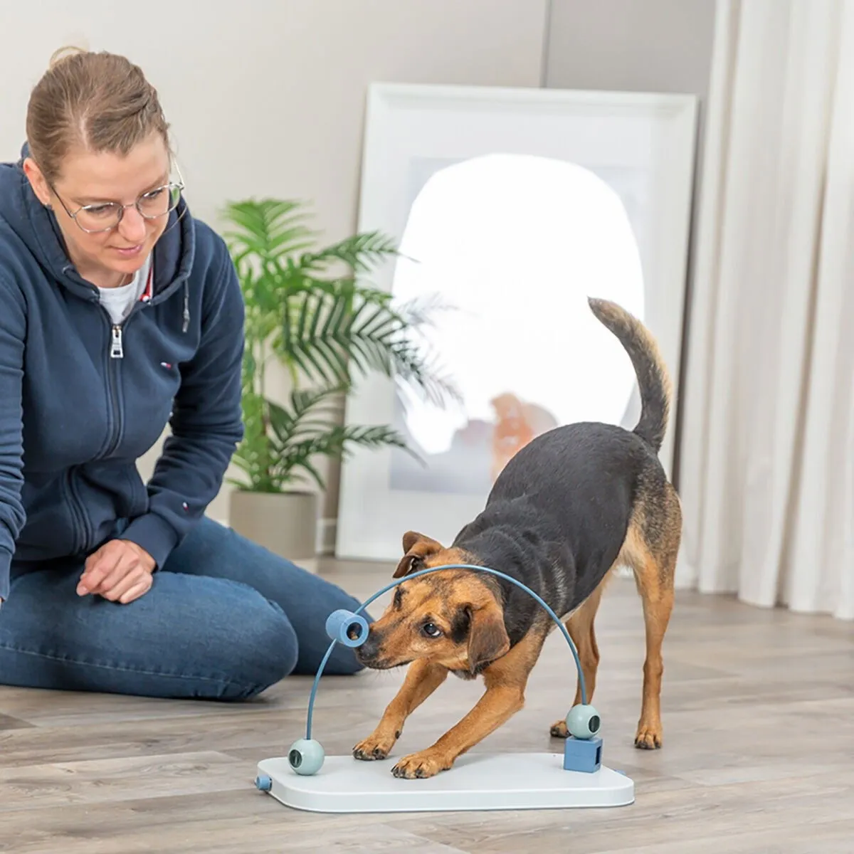 Trixie Dog Activity Skills Loop Aktiveringsleksak