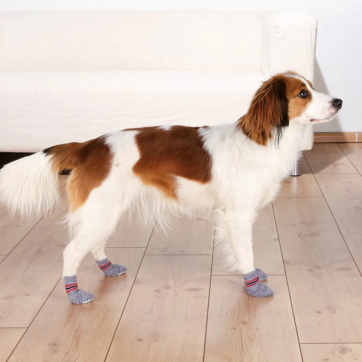 Trixie Hundsockor Non-slip 2-pack